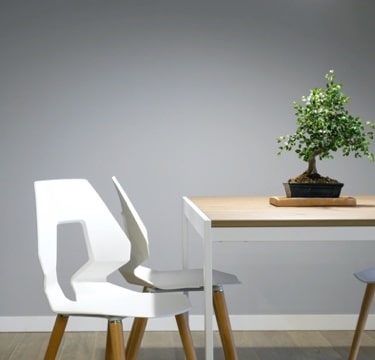 room, white chairs with table